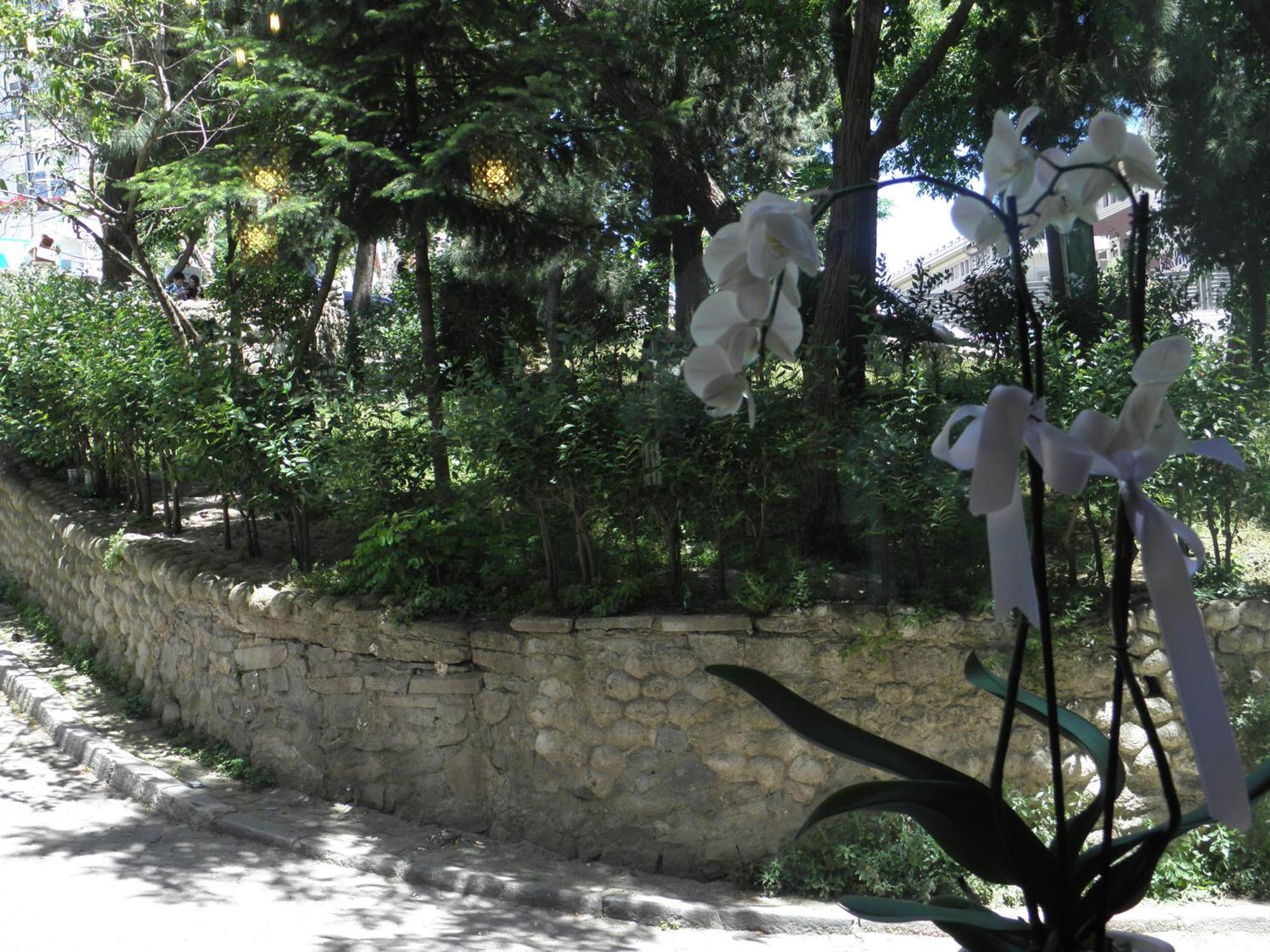 Omar Sultan Park Suites - Istanbul — Photos 3